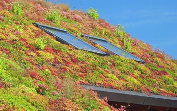 Rowanfield living roof systems